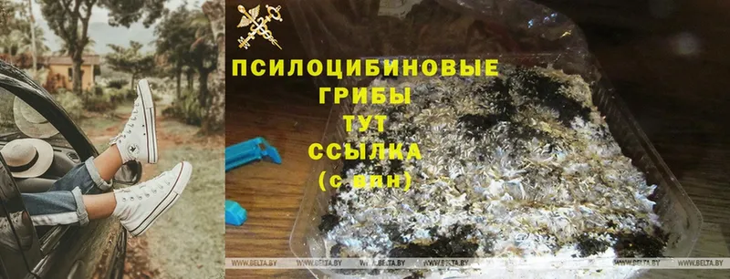 Галлюциногенные грибы MAGIC MUSHROOMS  Давлеканово 